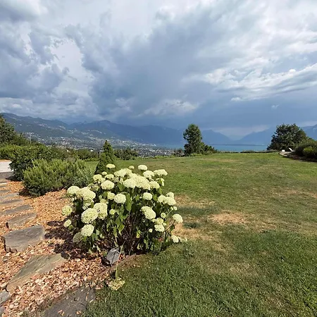 Le - Designer's With A Stunning And Mountain View Apartment *